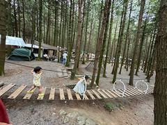 -重庆睡佛山森林公园