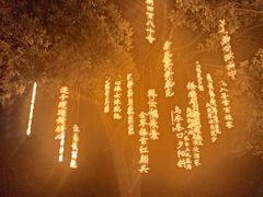 -南京汤山紫清湖生态旅游温泉度假区