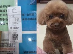 -美联众合动物医院·24h京西诊疗中心