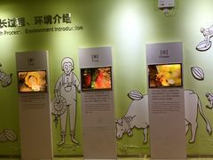 -歌斐颂巧克力小镇