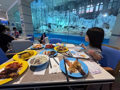 -帝企鹅自助餐厅•儿童岛•真企鹅(长隆企鹅酒店)