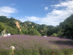 -云峰山自然风景区