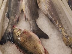 -芦潮港集贸市场