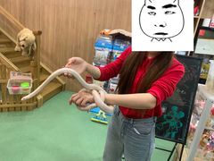 -藦茜花园宠物主题亲子互动体验馆(国顺东路店)