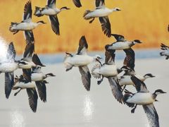 -天津古林古海岸遗迹博物馆