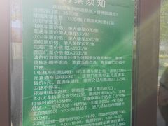 -武清南湖绿博园