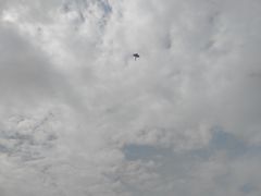 -海沧湾公园