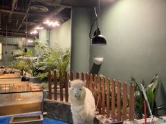 -上海大自然野生昆虫馆(东方明珠·爬宠昆虫探索中心)