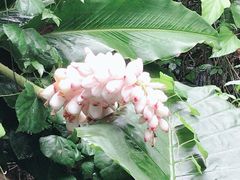 -呀诺达热带雨林