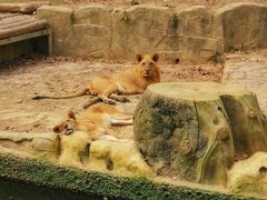 -常州淹城野生动物世界