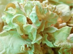 -陶祖圣境风景区