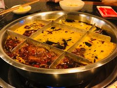 红汤锅底-邓莽子老火锅(中兴路总店)