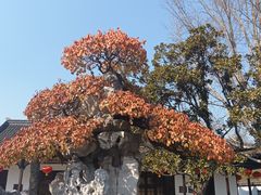-水绘园