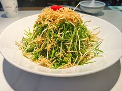 空心菜苗-打酱油·非遗淮扬菜(瘦西湖梅岭店)