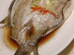 -新梅园不夜粥(龙华店)