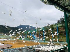 -瓷天下海丝谷