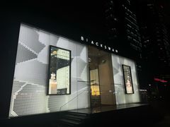 -BLACKSWAN黑天鹅(环球店)