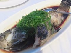 -梧桐餐厅(泉城路店)