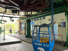 -野象谷景区