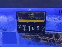 -优托邦(长兴路店)