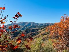 -北京西山国家森林公园