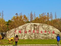 -上海海湾国家森林公园