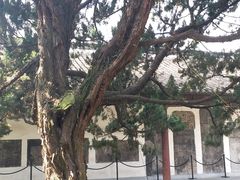 -汇龙潭