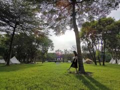 -广东花都香草世界旅游度假区