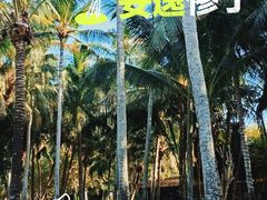 -三亚蜈支洲岛旅游区