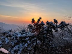 -北京西山国家森林公园