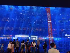 -成都浩海立方海洋公园