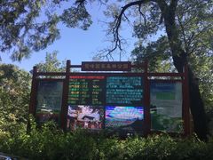 -北京鹫峰国家森林公园