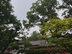 -红螺寺
