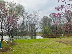 -梁鸿国家湿地公园