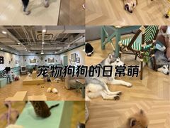 -工联CC