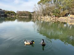 -白马涧龙池景区