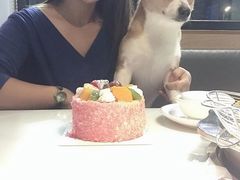 -潮发潮汕牛肉店(龙洞店)