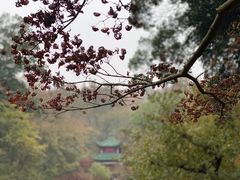 -岳麓山风景名胜区