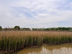 -双山岛