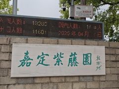 -嘉定紫藤园