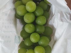 -马陆小张葡萄园农家乐