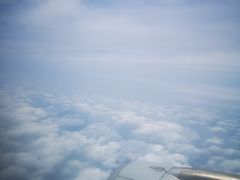 -国强手抓(西夏区店)