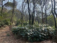 -虞山风景区