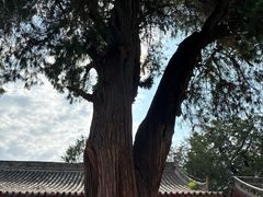 -玉泉观