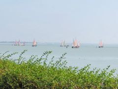 -贡湖湾湿地公园