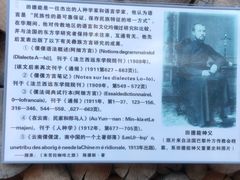 -田德能咖啡博物馆