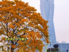 -上海老城区小龙虾虾宴·杭帮菜(五柳巷店)