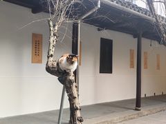 -西园寺