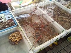 -大湾区中央湿地公园-十九涌