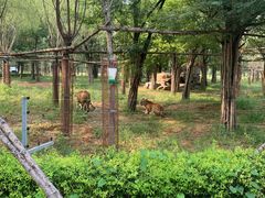-秦皇岛野生动物园
